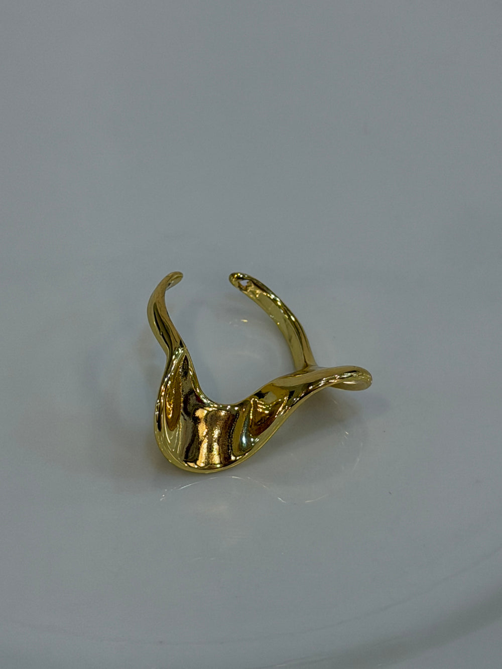 Anillo Fina