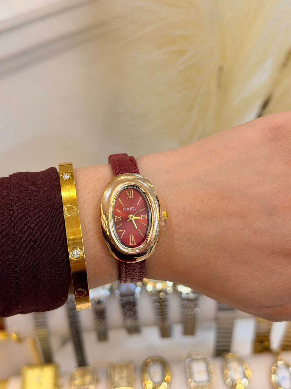 Reloj Macaw