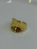 Anillo Liri