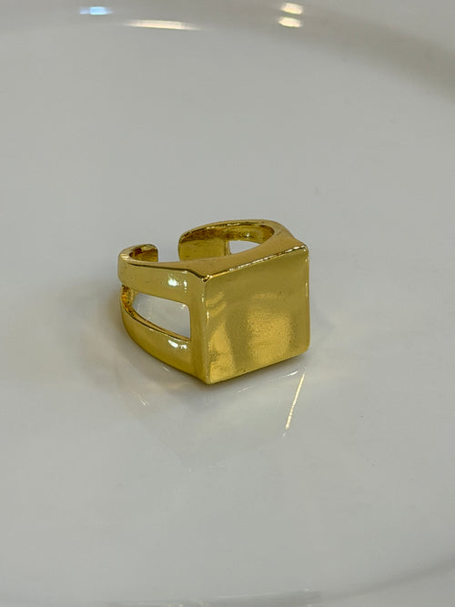 Anillo Nara