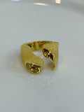 Anillo Vela