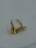 Anillo Fina