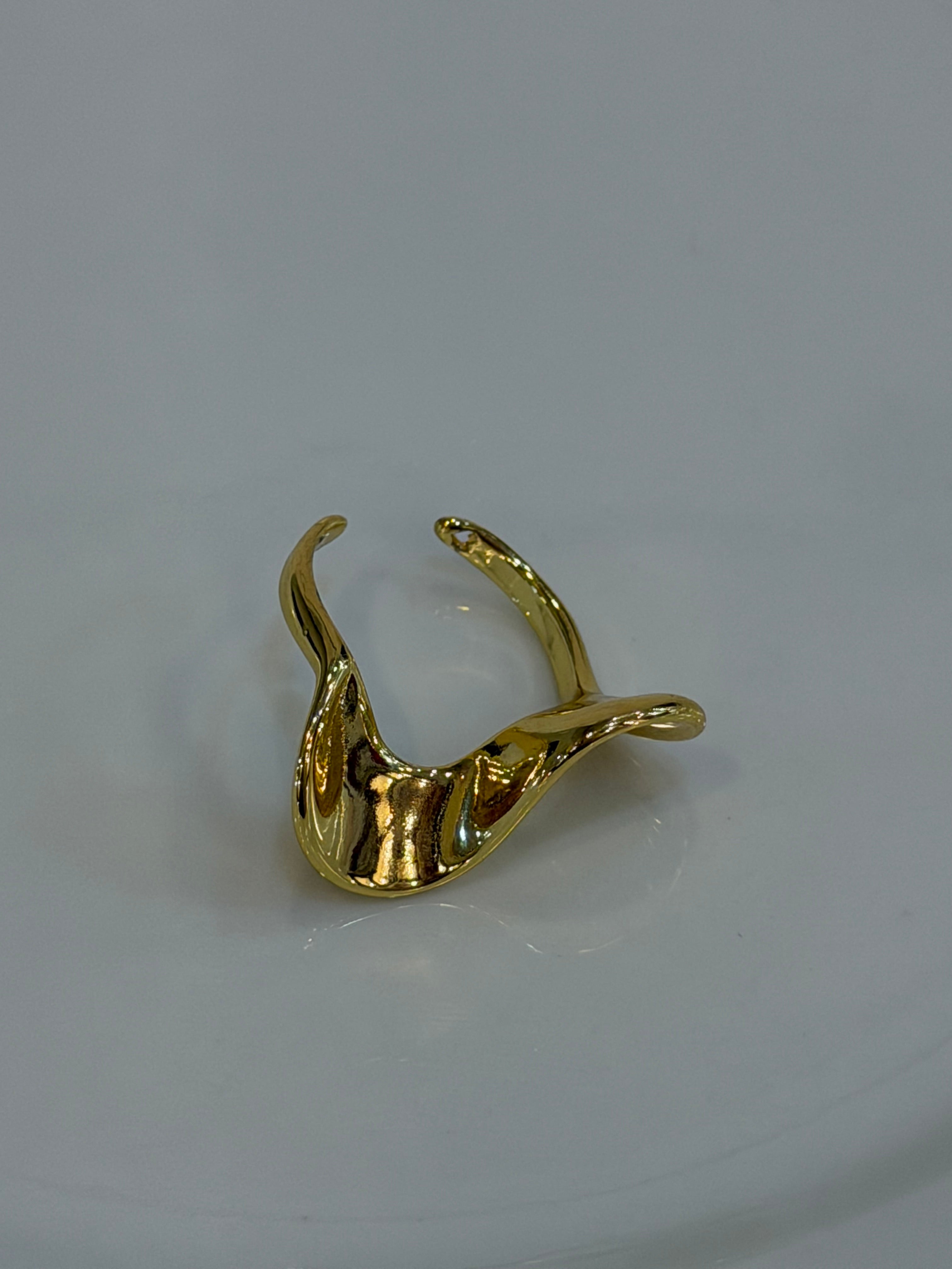 Anillo Fina