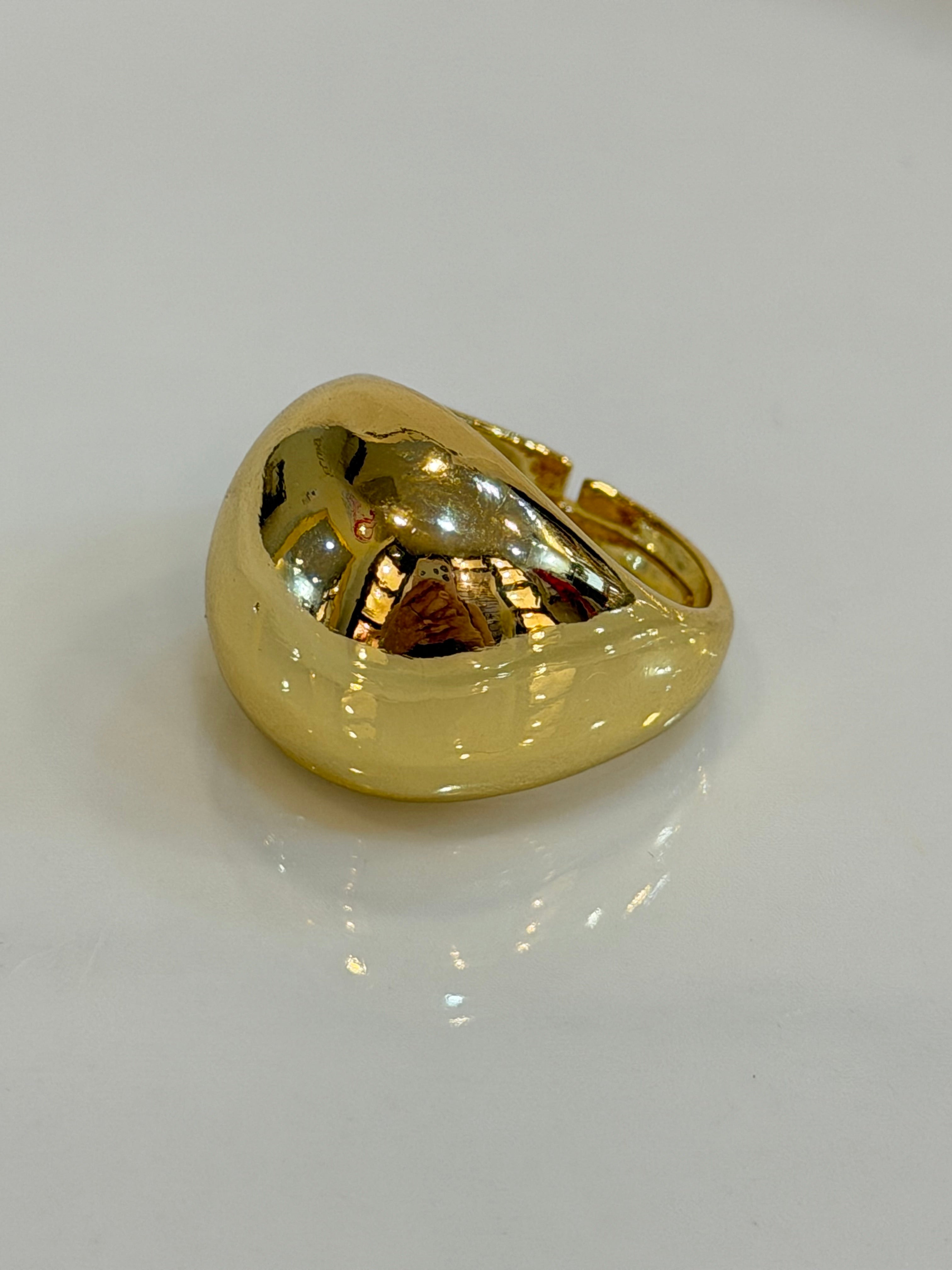 Anillo Tori