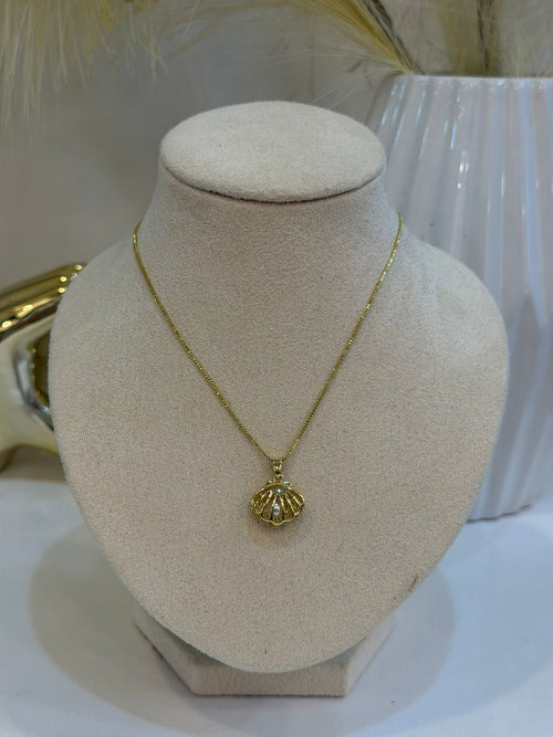 Collar conchita