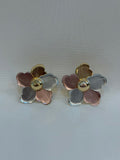 Aretes Tricolor